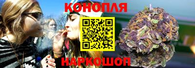 a pvp Заводоуковск